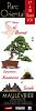Cliquez sur l'image pour l'afficher en taille normale

Nom : bonsai  maulvrier.jpg
Affichages : 41
Taille : 32.1 Ko
ID : 2551